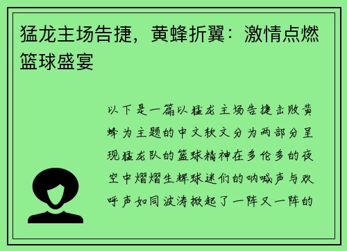 猛龙主场告捷，黄蜂折翼：激情点燃篮球盛宴