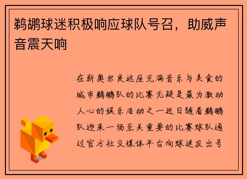 鹈鹕球迷积极响应球队号召，助威声音震天响